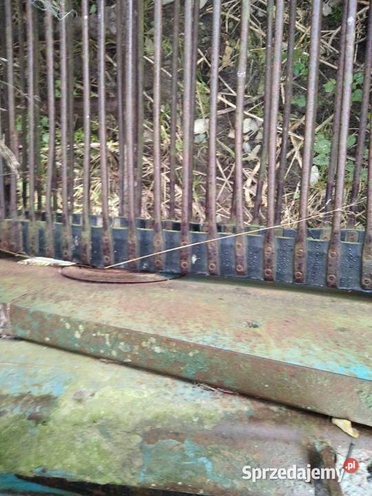 Wyorywacz sadzonek truskawek Anna kopaczka Mała Wieś