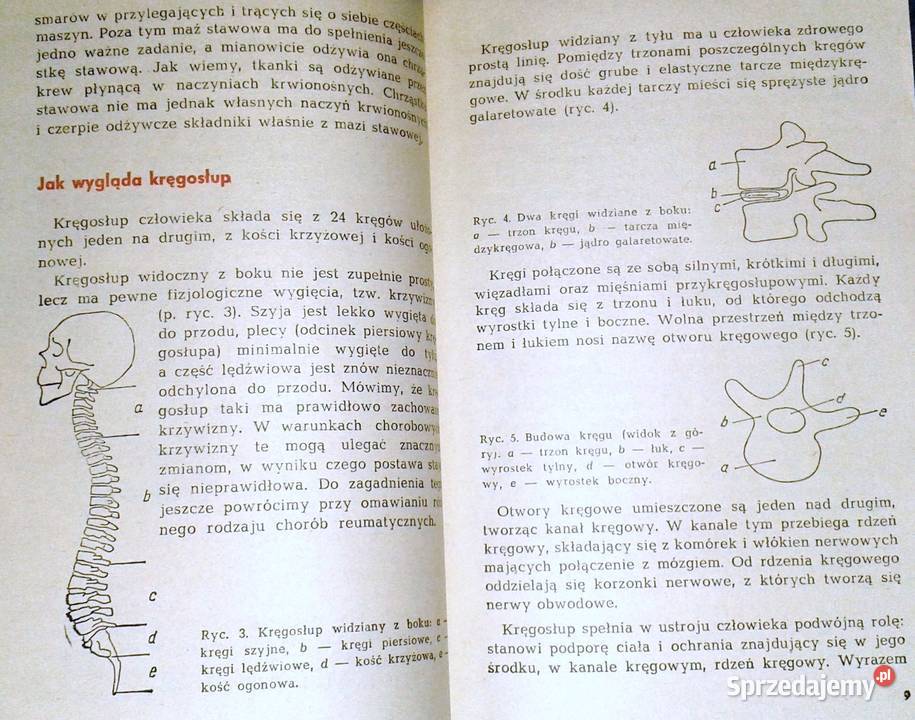 O reumatyzmie Maria SadowskaWróblewska Chełm