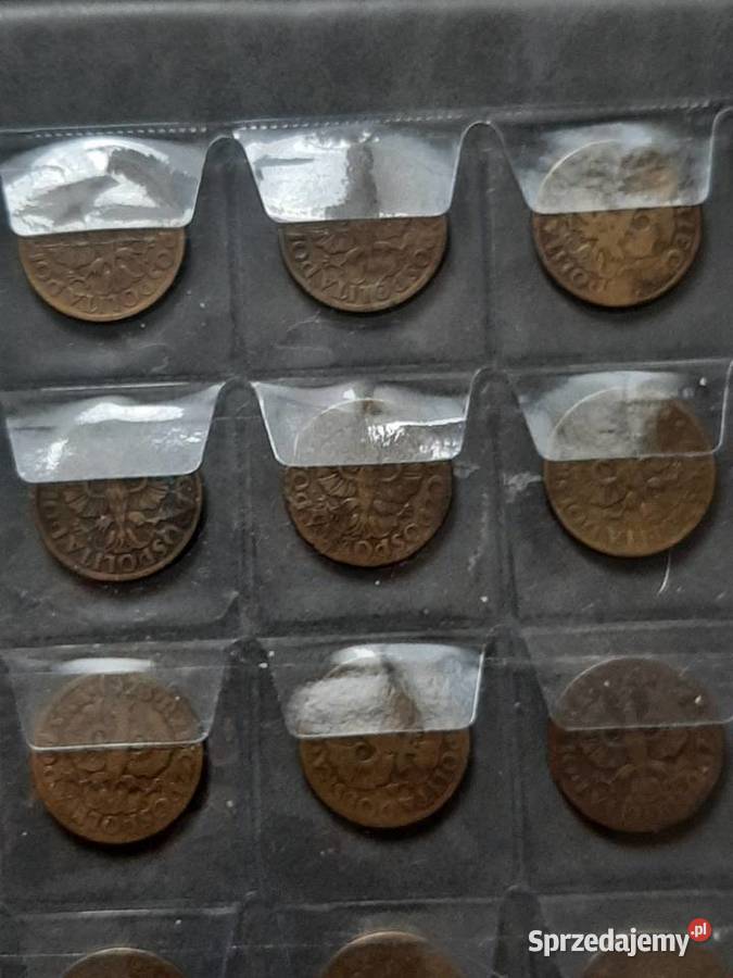 5 Groszy Bielsko-Biała sprzedam