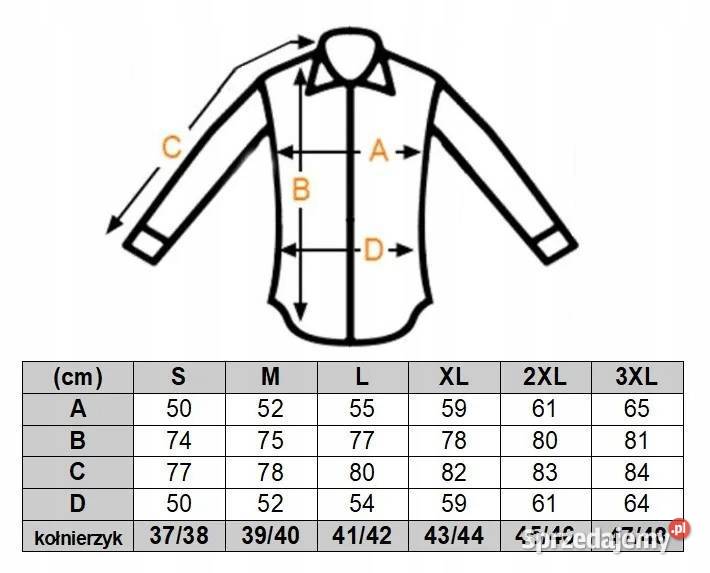 DANIEL BESSI Koszula Męska Fb042 Biała KOMIKS