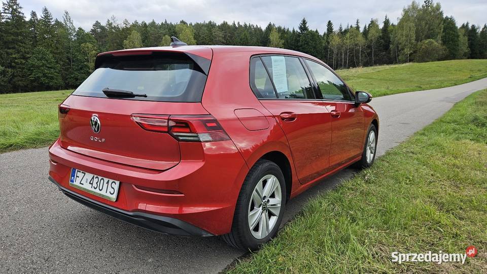 Volkswagen Golf 8 kupiony w polskim salonie Rabka-Zdrój