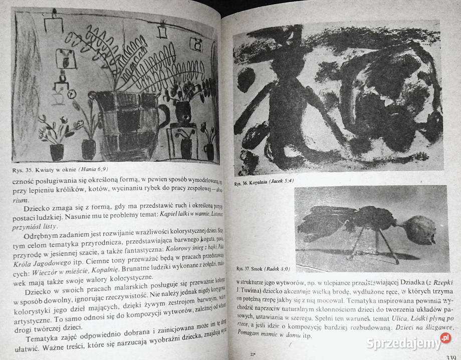 Podstawy pedagogiki przedszkolnej Maria lubelskie Chełm sprzedam