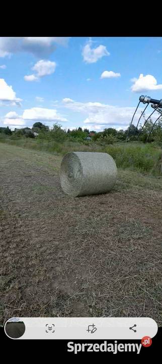 Sprzedam siano krow koni sianokiszonka łódzkie Skierniewice