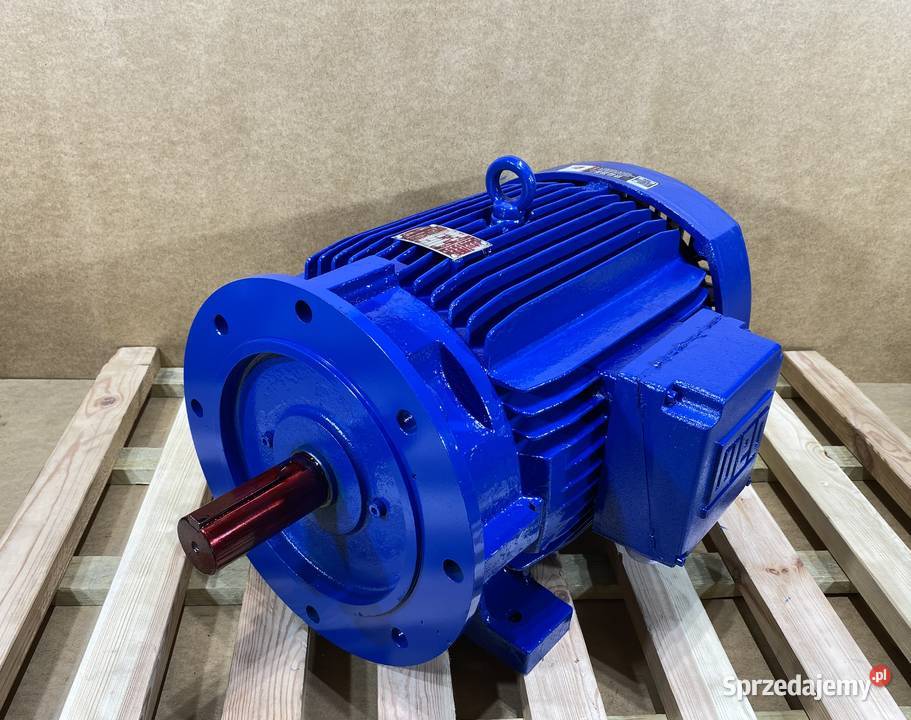 silnik elektryczny 22kW 1450obr 3fazowy WEG kujawsko-pomorskie Pigża