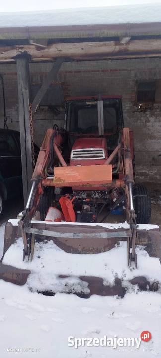 Ursus c385 lubelskie Potasznia