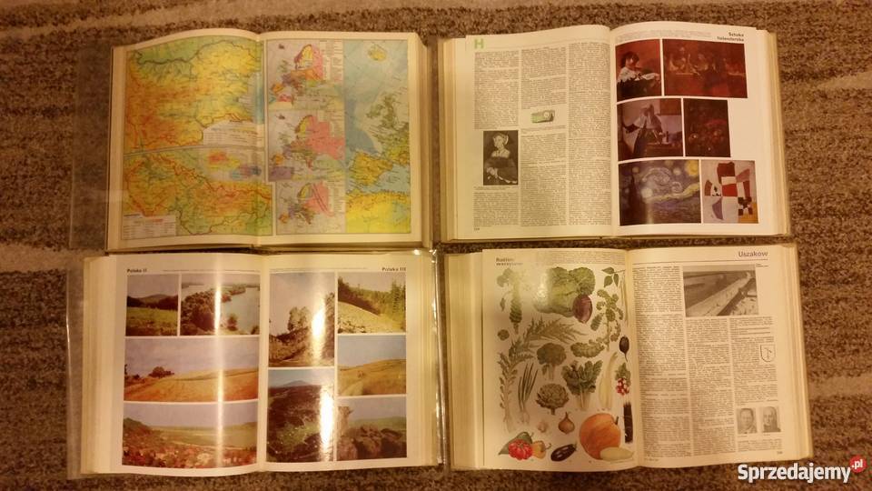 Encyklopedia PWN 4 tomy Książki i Podręczniki Warszawa sprzedam