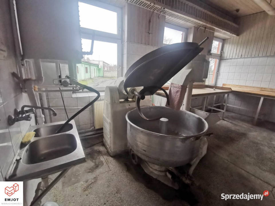 Lokal SędziejowiceKolonia 216m2 Sędziejowice-Kolonia