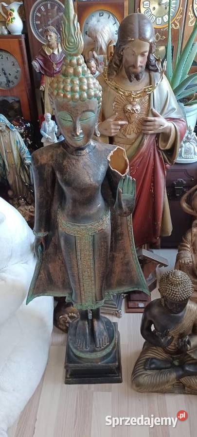 BUDDY CZTERY NAJWYŻSZA 118 NAJNIŻSZA CZARNA 44 Poznań