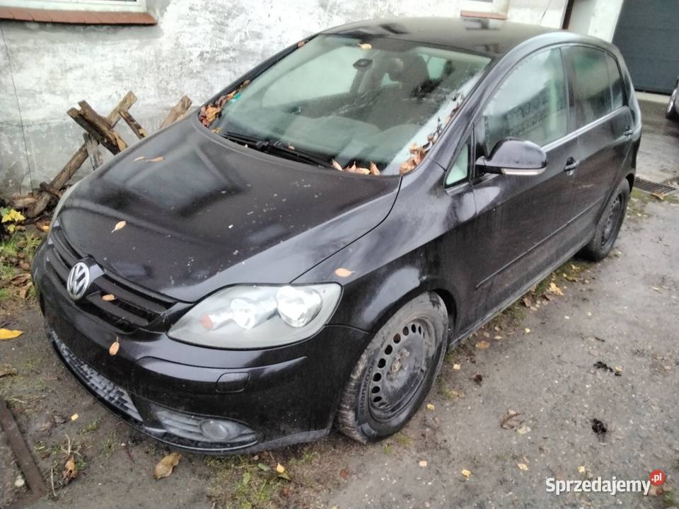 VW GOLF PLUS Z NIEMIEC Golf Plus