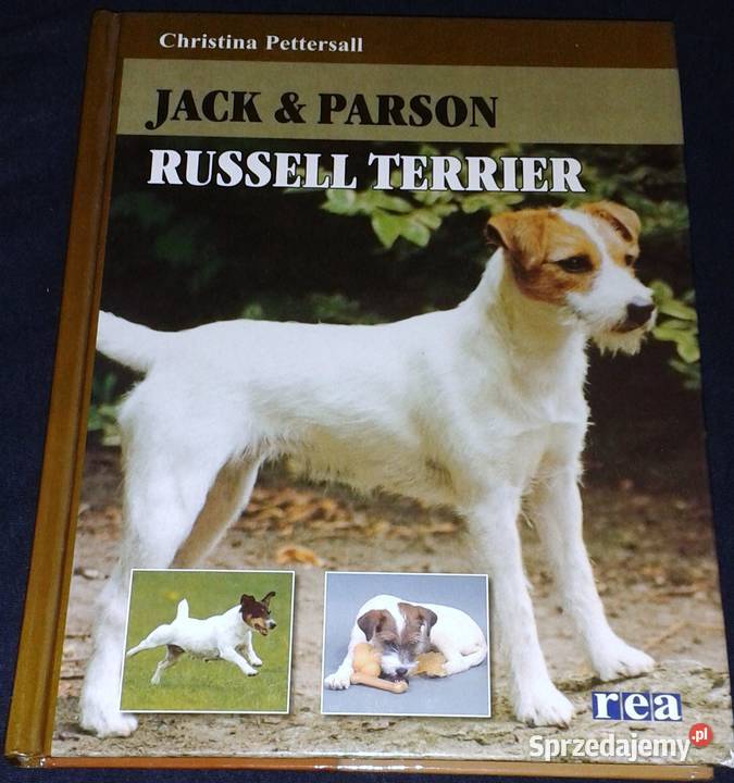 Jack Parson Russell Terrier Christina Pettersall Chełm