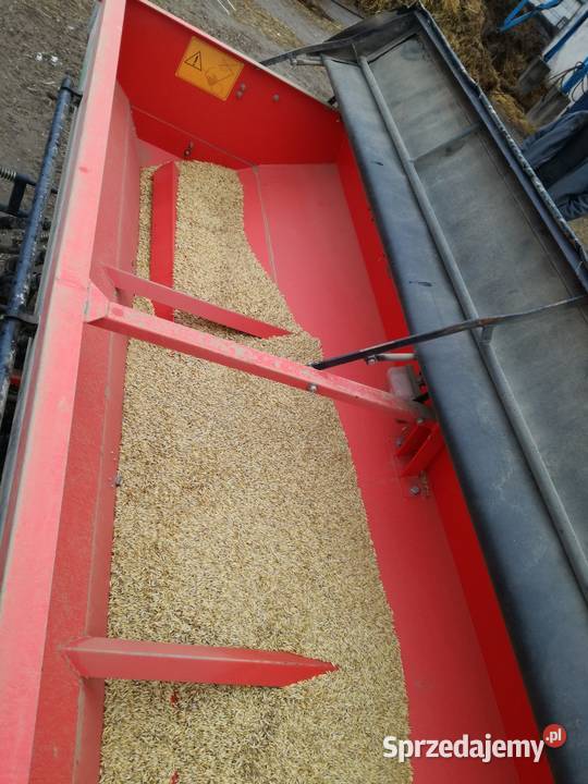 Siewnik zbożowy Roger 3m Czaje