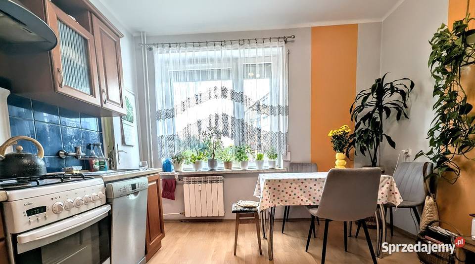 Sprzedam mieszkanie na 1 piętrze 2 pokoje blok Sprzedaż Olesno