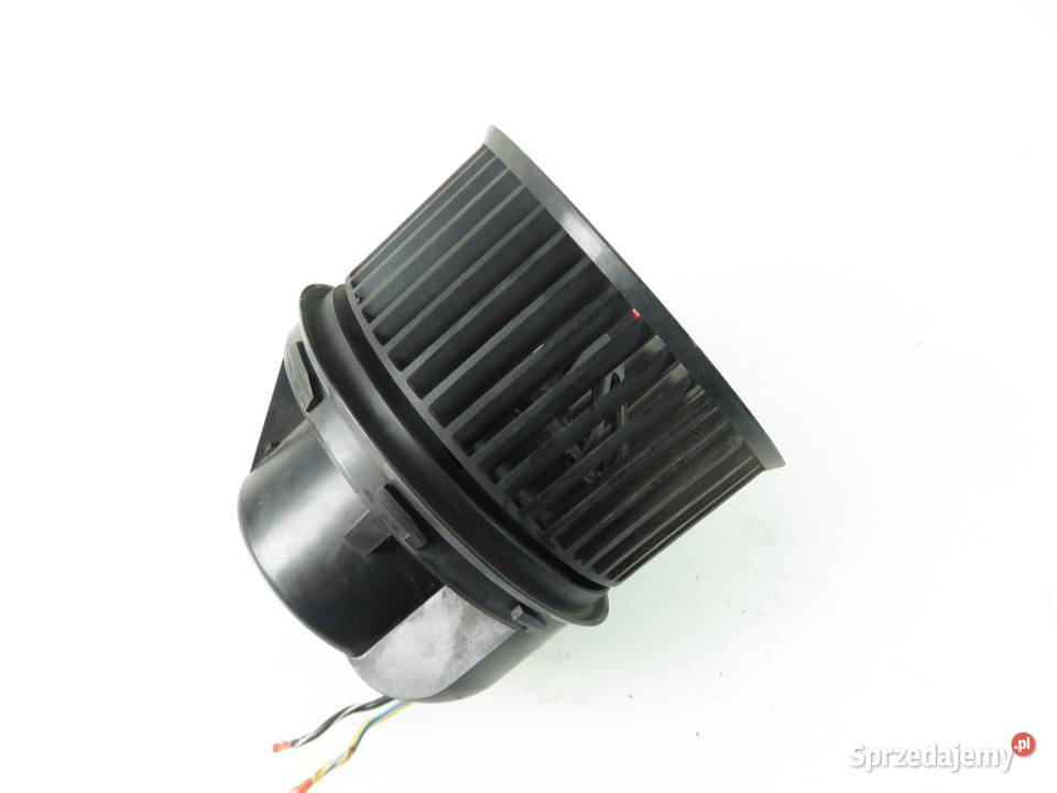 DMUCHAWA FORD S I 669T18456AA 1736007103