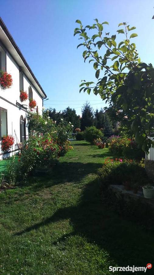 Wyjazd ogródek Doboszowice