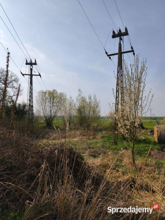 Domek z dużą działką Sadogóra Okazja