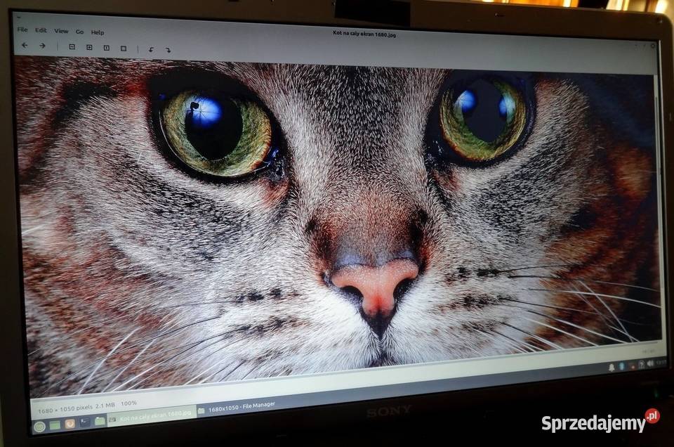 Matryca 184 LTN184KT01 S02 SONY VGNAW11M Szczecin