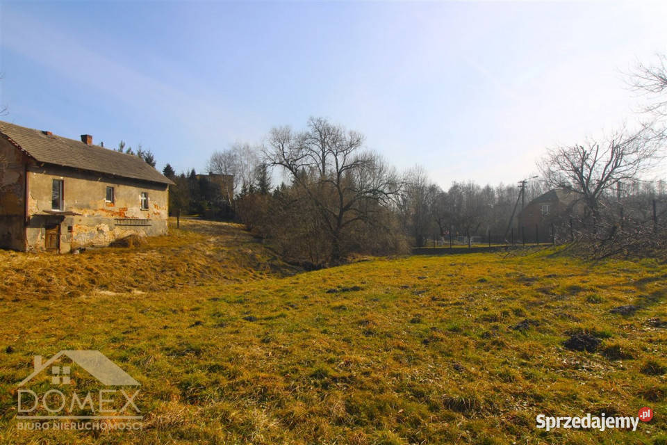 Grunt 4000m2 Wodzisław Śląski Sprzedaż