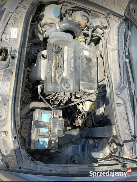 Seat Leon ewzamienie