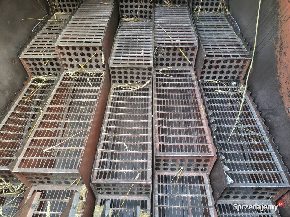 Bizon zo 56 sieczkarnia wózek heder dolnośląskie Środa Śląska