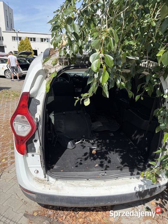 Dacia Lodgy benzyna gaz mazowieckie