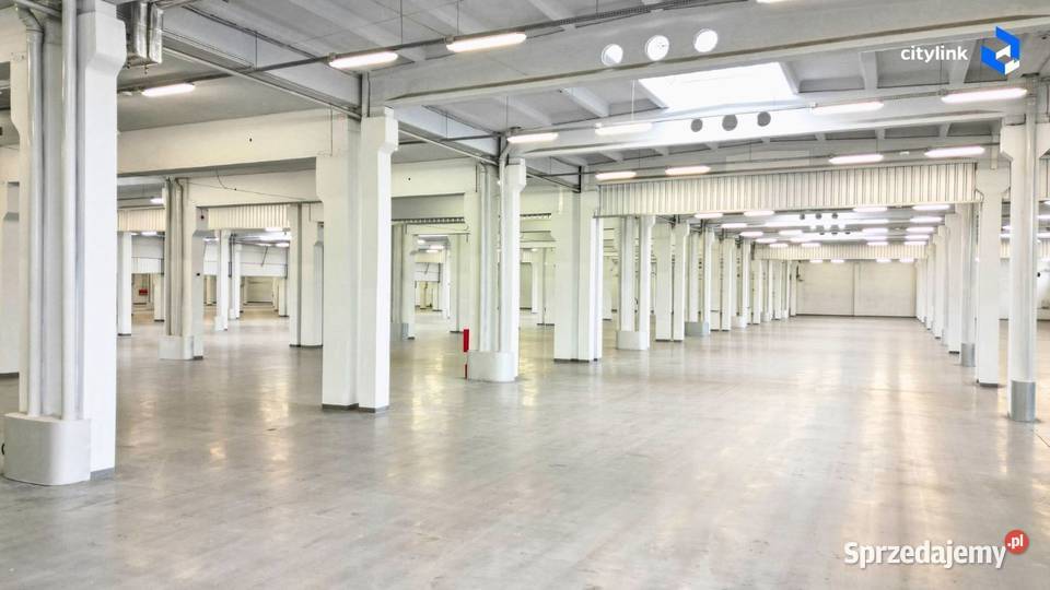 Magazyn miejski 1 000 m 1 mc Bezpośrednio