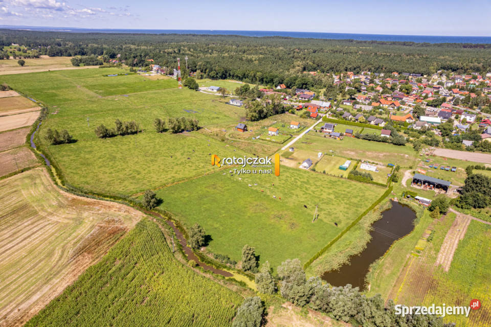 Sprzedaż gruntu 23900m Stegna
