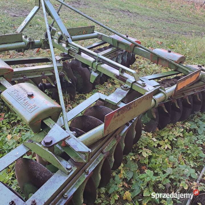 Talerzówka Eberhardt Piórków-Kolonia