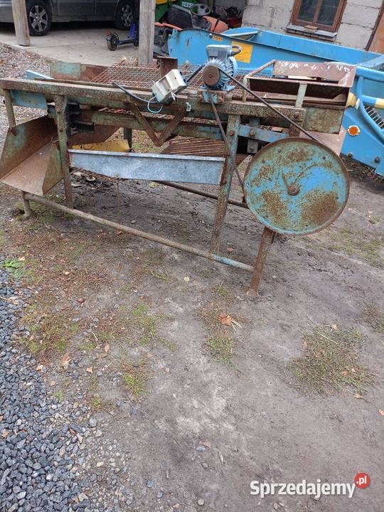 Sortownik elektryczny do ziemniaków Radzyń Podlaski