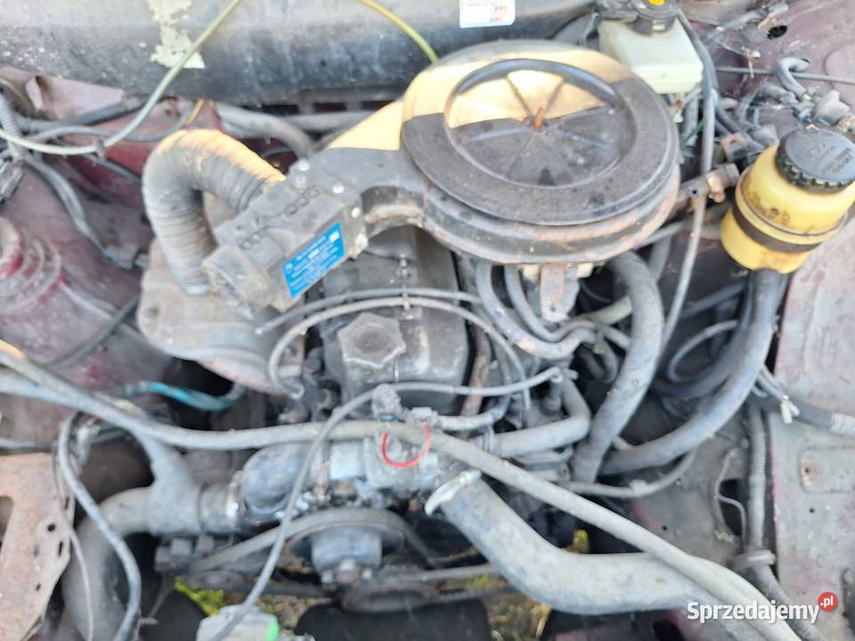 Polonez Truck 16 benzyna Wolin