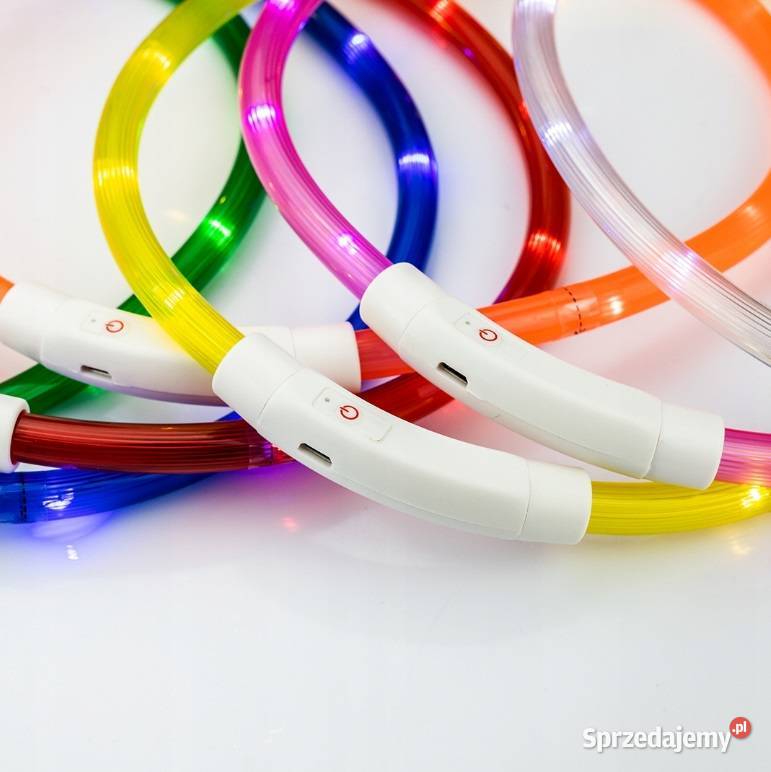 OBROŻA ŚWIECĄCA LED PSA I KOTA REGULACJA 70 Dla psów kujawsko-pomorskie Toruń