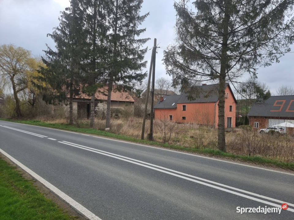 Działka siedliskowa 4200m2 we wsi Niedźwiednik