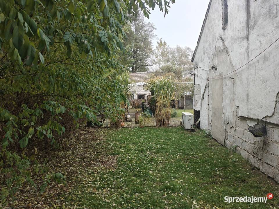 Syndyk sprzeda Karolew sprzedam