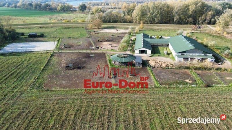 Renomowana stajnia na sprzedaż Pruszków