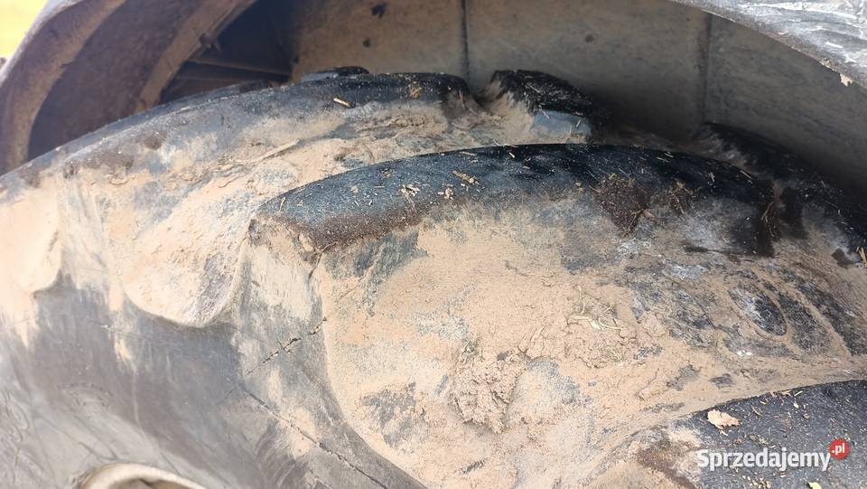 Deutz Fahr Deutz-Fahr Korzeń