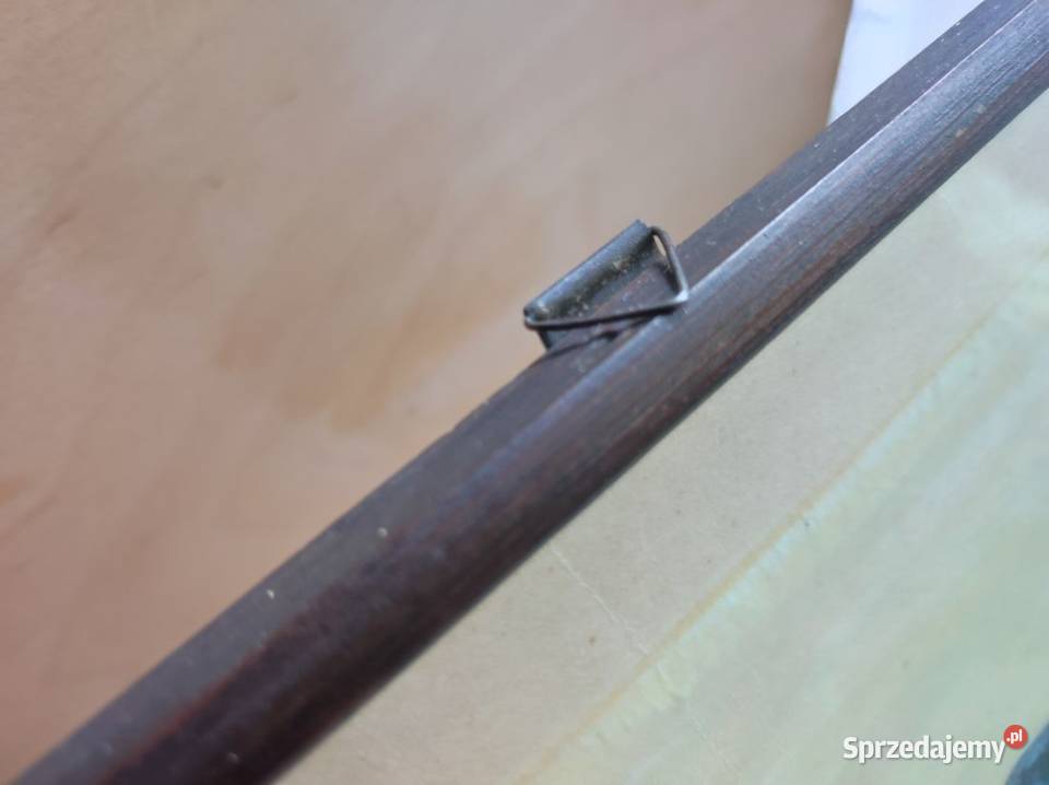 rysunek grafika obraz akwarela ramka ptaszki Kielce