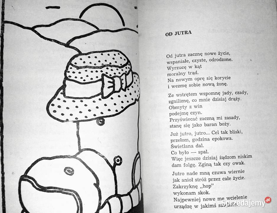 Oda do głupoty Aleksander Ziemny Chełm sprzedam