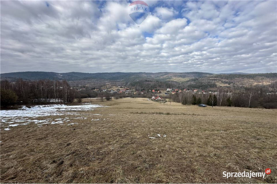 Duża działka 30 arów z 2 HA prywatnego lasu Sprzedaż śląskie Las