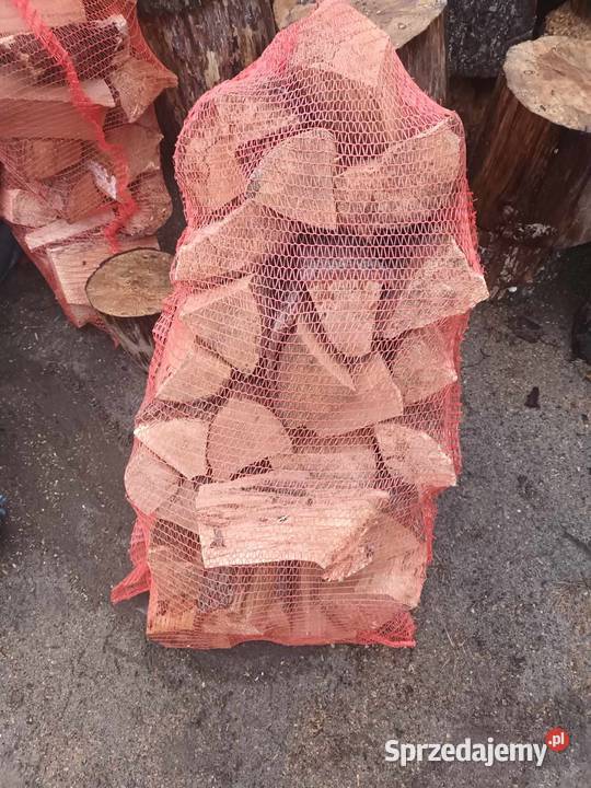 Sprzedam drzewo workowane Olcha lubelskie Baranów sprzedam