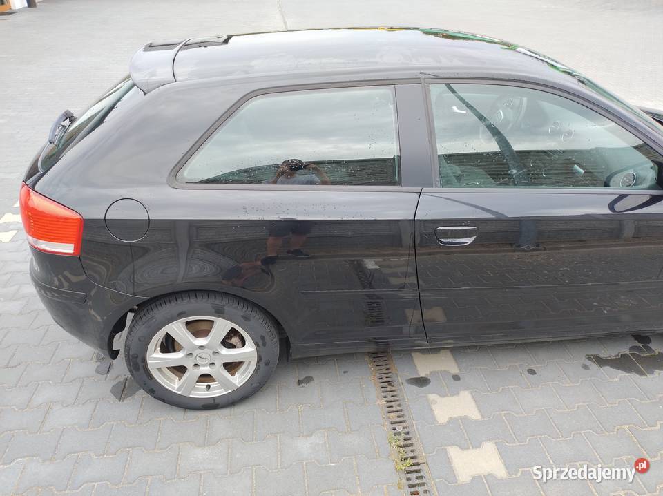 Audi A3 8P 16 MPI 102 benzyna 2006r Rok produkcji 2006 łódzkie Rogi