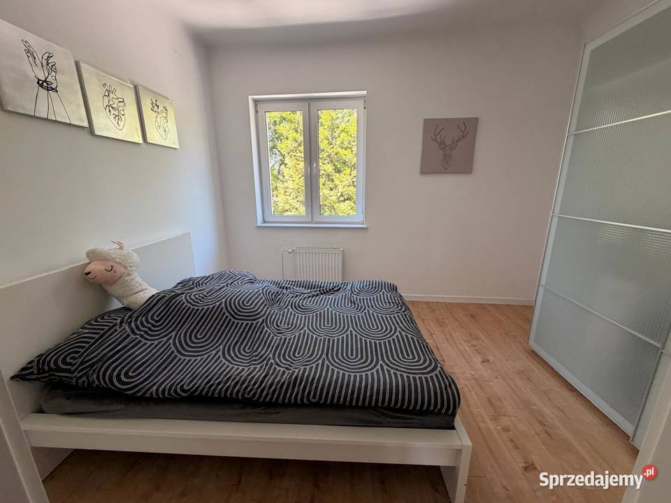 Willa modernistyczna las basen duża działka Łódź