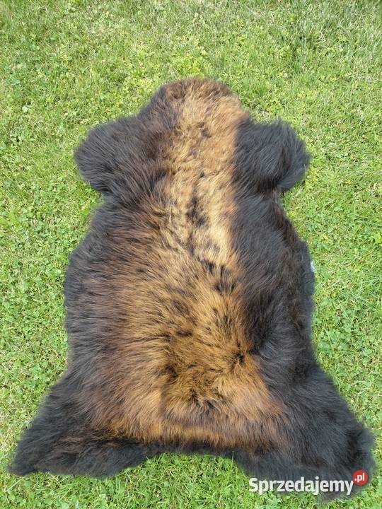 POLSKIE SKÓRY OWCZE Naturalna Skóra Owcza Szaflary sprzedam