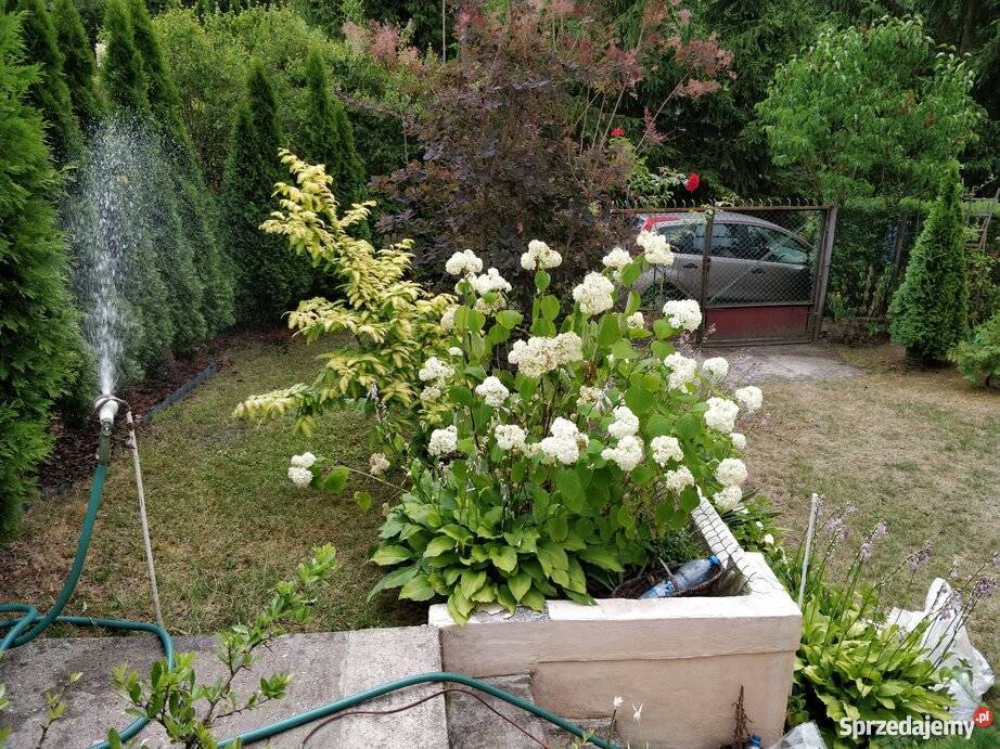 Pomiechówek działka rekreacyjna 323m2 w z sprzedam