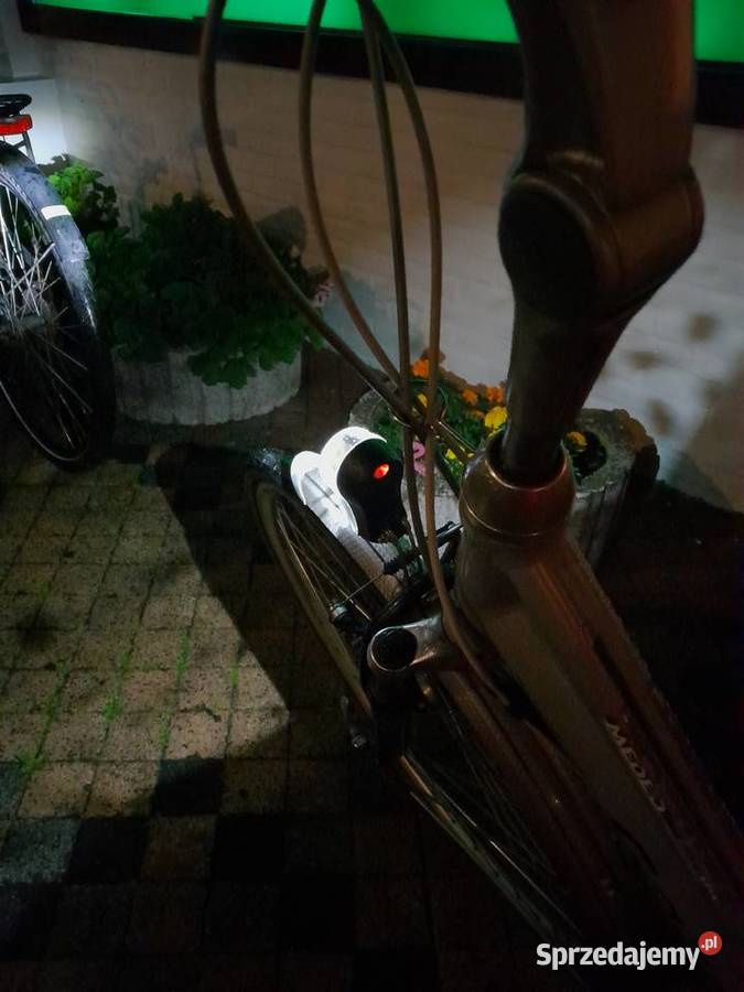 Gazelle Przywieziona z Holandii Korbielów