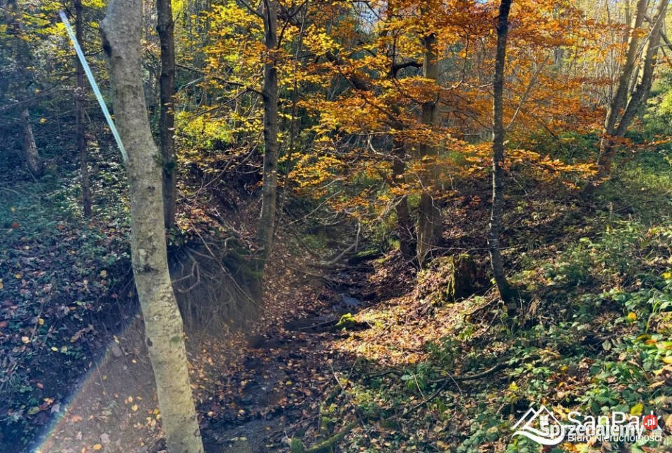 Grunt Krzywe 10100m2 sprzedam