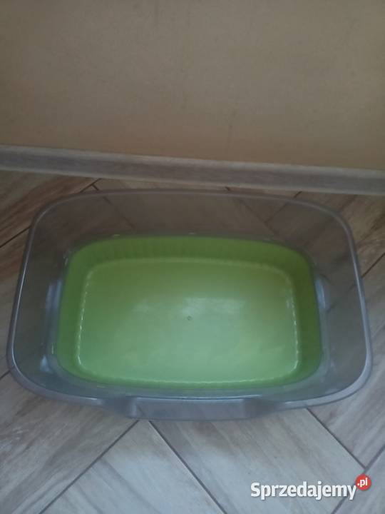 Koweta kota Dla kotów Włocławek