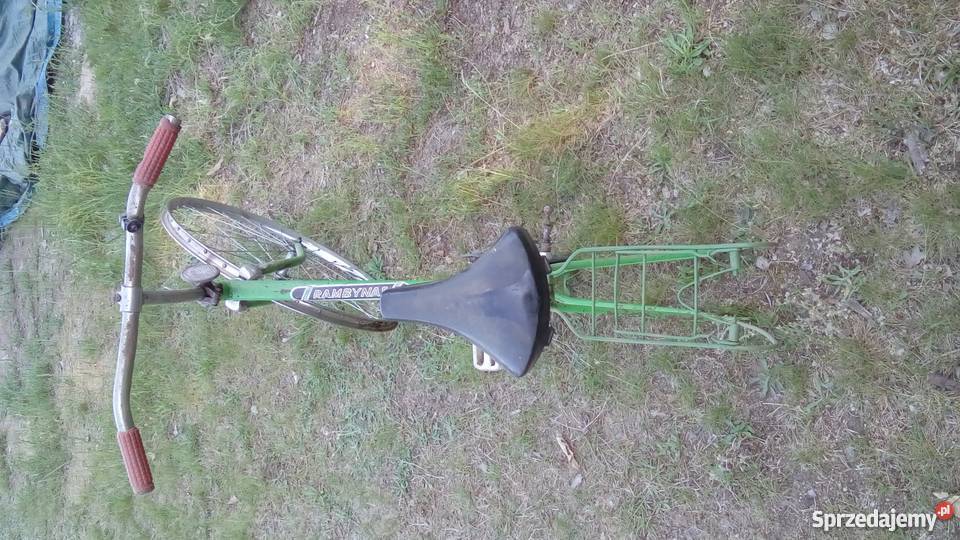 Rosyjski składak Rambynas nie wigry jubilat Kębłowo