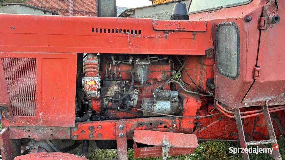 MTZ 82 warmińsko-mazurskie Chełmżyca