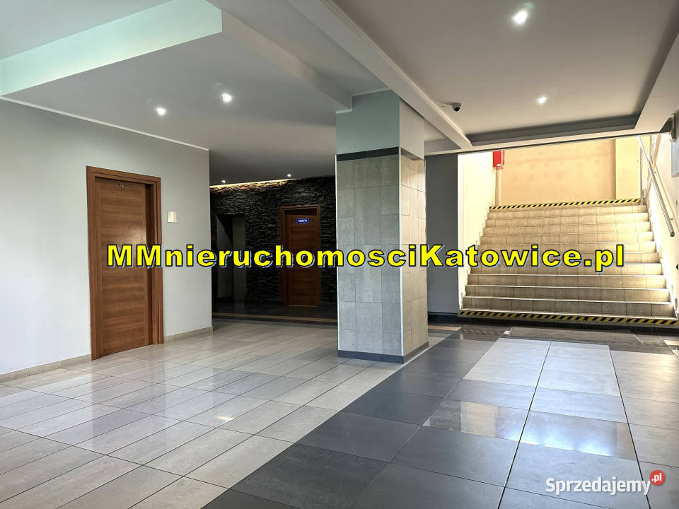 Biura do wynajęcia Katowice Szopienice duży Nieruchomości