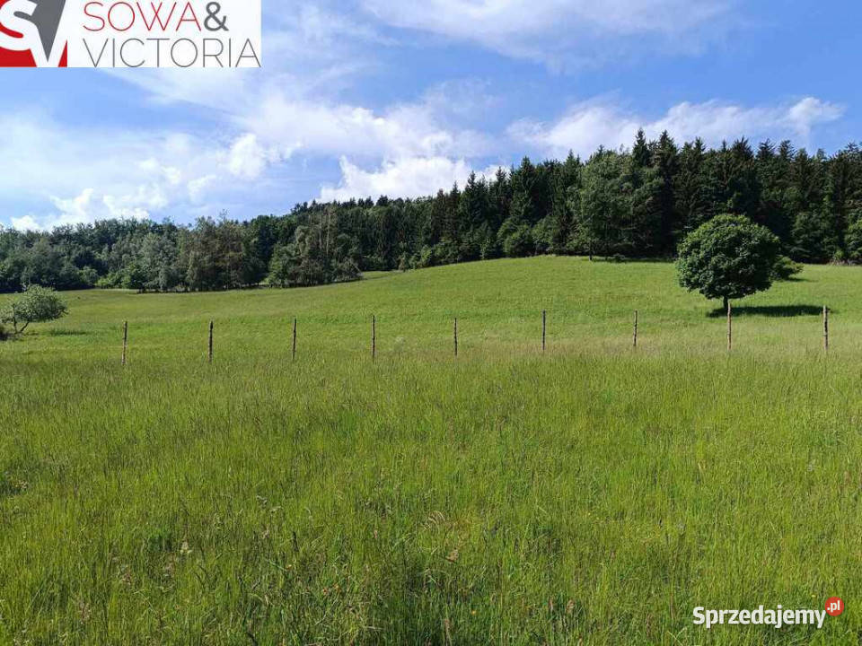 Działka na dom rekreacji indywidualnej ze stawem Walim