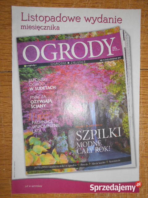 Dom pełen kwiatów Doniczkowe rarytasy 4 4 Poradniki, albumy i reportaże Parczew sprzedam